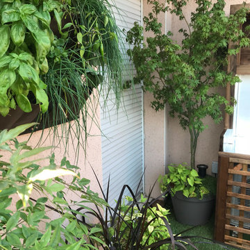 Terrasse en plein coeur de Toulouse