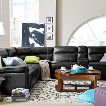 The Antonio Collection