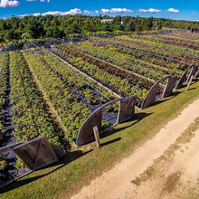 Landscape Farming