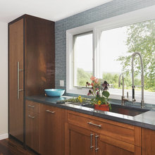 Kitchen Windows