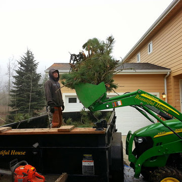 Cleanup small or Massive