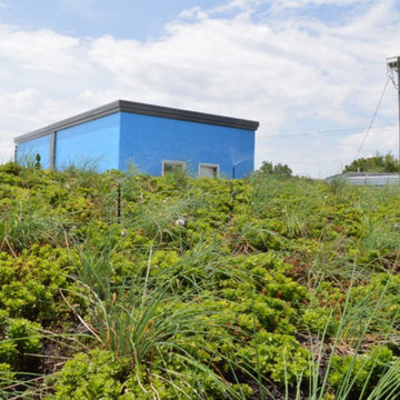 Green Roof Projects