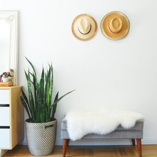 Entry Ideas