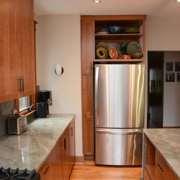 Silver Spring, MD Mitered Edge Quartzite Tops Kitchen Remodel