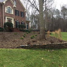 Backyard ideas