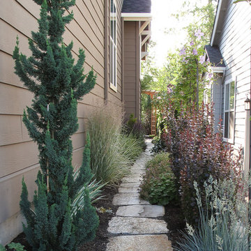 narrow trees for narrow gardens