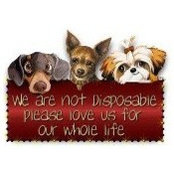 Kandi Williams's photo