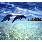 Nancy Persinger's photo