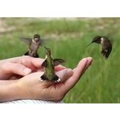 Wendy Etemadi's photo