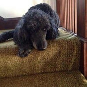 Richard Kinney's photo