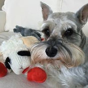 Foto de Nancy Nash
