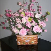 Sherry Perry's photo