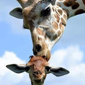 Nicole Aherron's photo