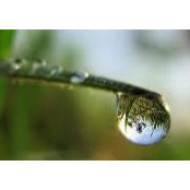 Shelley Bishop's photo