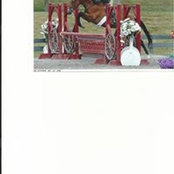 Penny Kinnally's photo