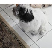 Janet Jefferies's photo