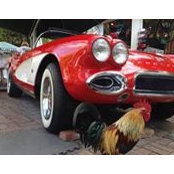 Pierre Cloutier's photo