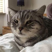 Lynn Rose's photo