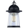 LINON Transitional 1 Light Black Outdoor Wall Sconce 13"