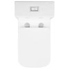 Eclair One-Piece Square Toilet Dual-Flush 0.8/1.28 gpf