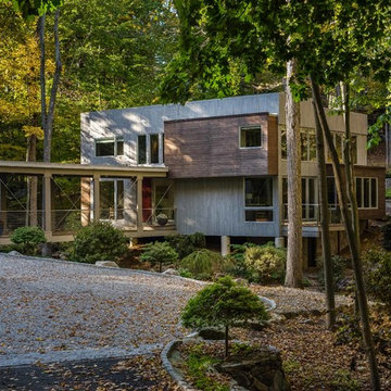 Modern Greenwich Whole Home Remodel