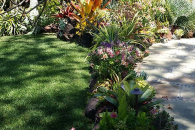 Inspiration for a tropical landscaping in Los Angeles.
