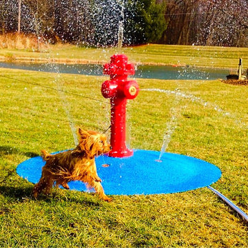 Portable Splash Pad for your backyard