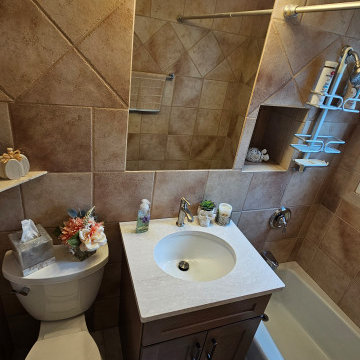 Orland Park Kitchen Remodel 2024