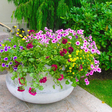 Container Gardens