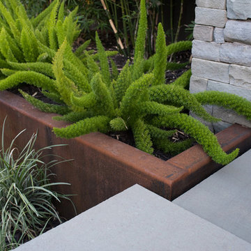Intimate contemporary Garden