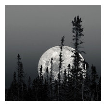 Astronomy