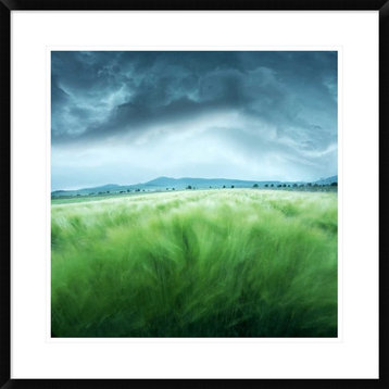 "Barley Field" Framed Digital Print by Floriana Barbu, 30x30"