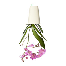 Hanging - Products