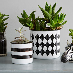 Monochrome Planters - Indoor Pots & Planters