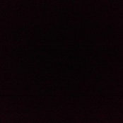 Mik S's photo