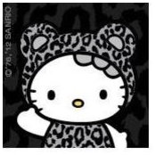 Sandy Eddinger's photo