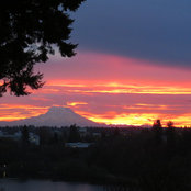 Quint Newell's photo
