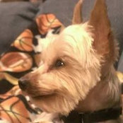 Greg Lawless's photo