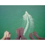 Susan Averill's photo