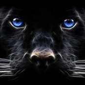 Nancy Morrison's photo