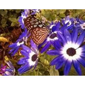 Shaina Johnson's photo