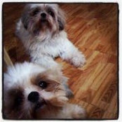 Geno Alson's photo