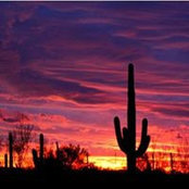 Chad Hauge's photo