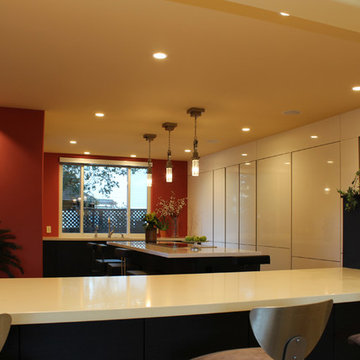 Cupertino kitchen in carbon oak and gloss white cabinets