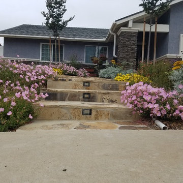 Mission Viejo Front Yard