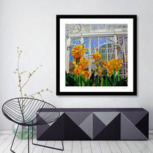 Curioos