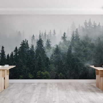 Forest in the Sky