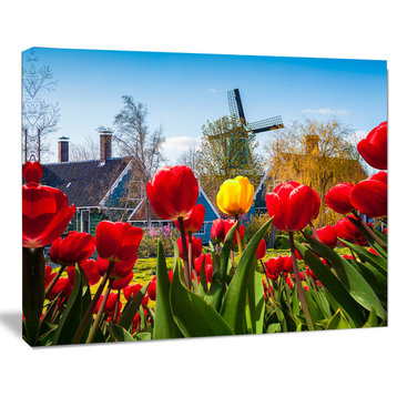 Tulips in the Netherlands Village, Floral Canvas Art Print, 20"x12"