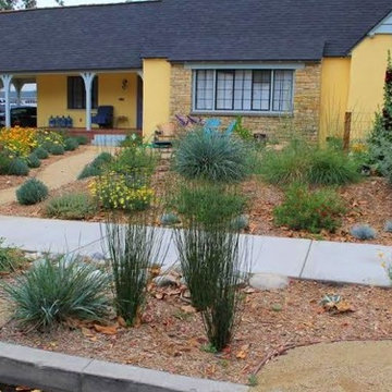 Edible Landscape and xeriscape