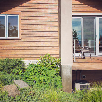 Lush Foundation Plantings